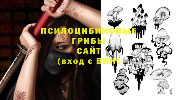 СК Алексеевка