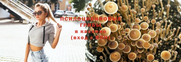 наркотики Алексин
